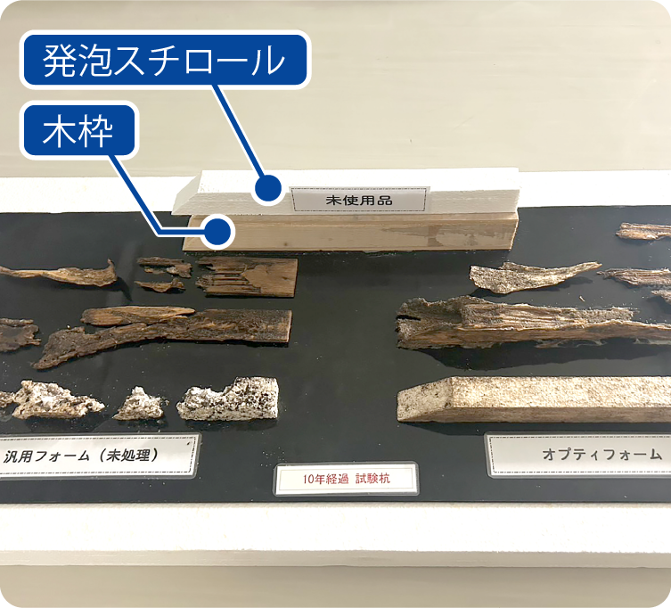 屋外試験の検体比較